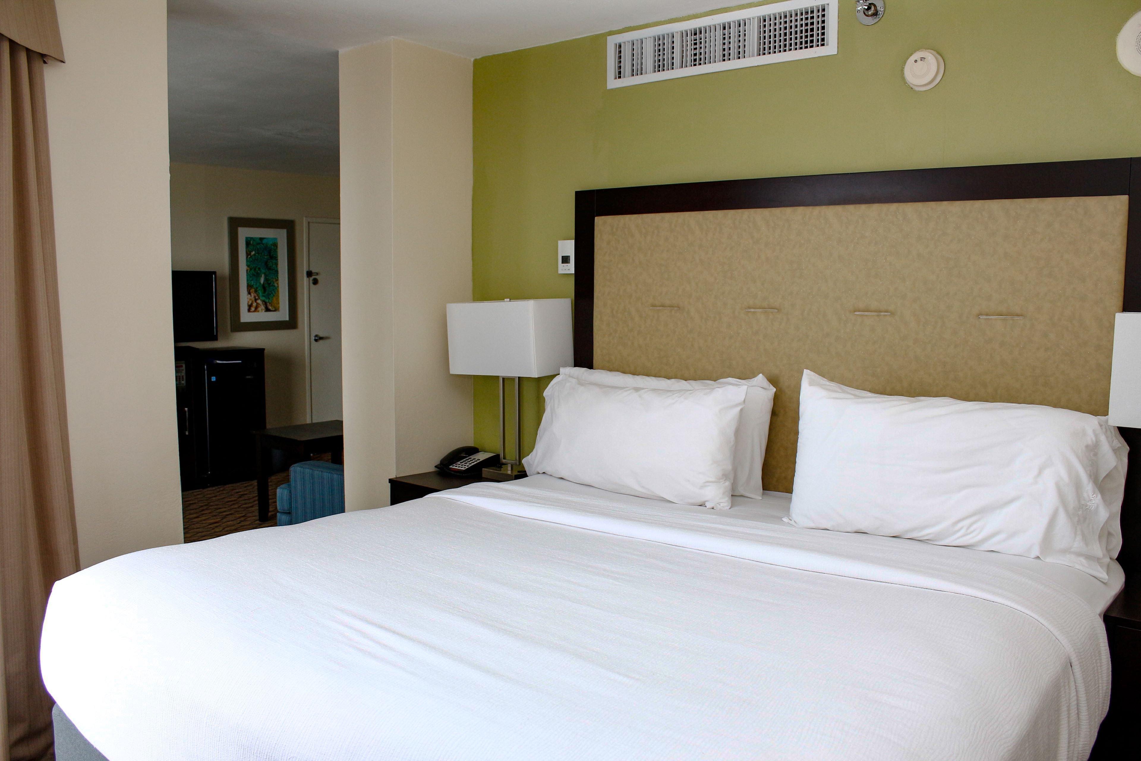 Holiday Inn Corpus Christi Downtown Marina By Ihg Exteriér fotografie